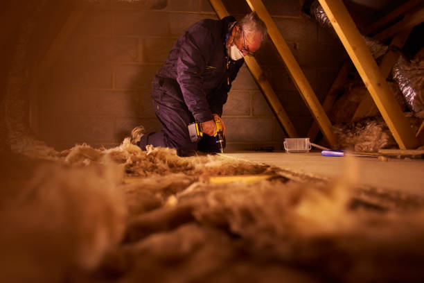 Best Insulation for Existing Homes  in Gibsonia, PA